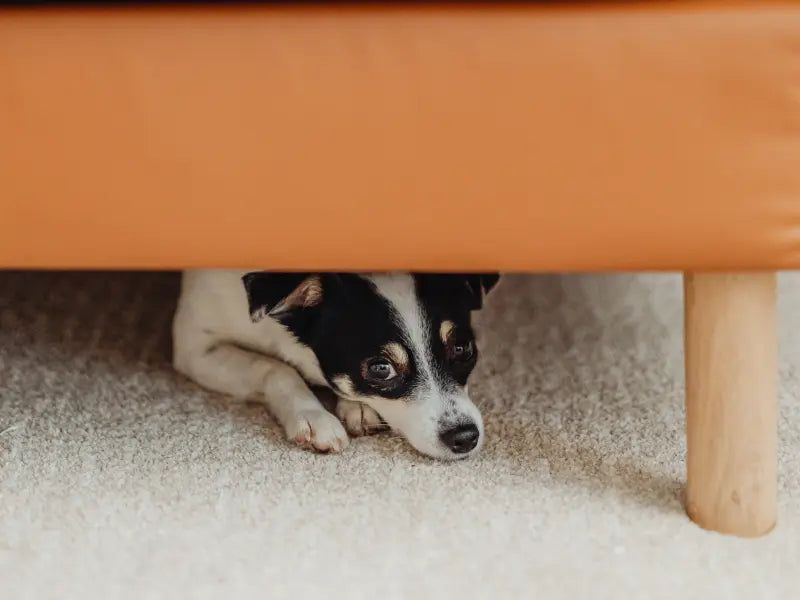 Hiding or Withdrawal