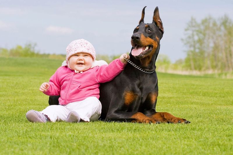 Affectionate Family Dog