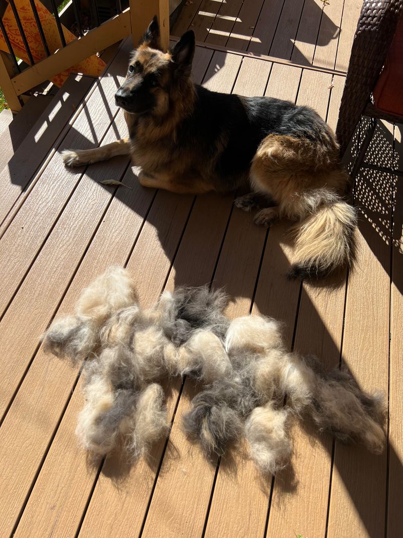 Shedding Problems