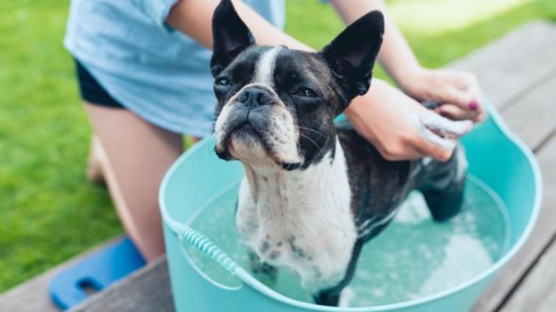 Over-bathing
