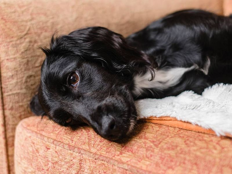 Ignoring Signs of Illness