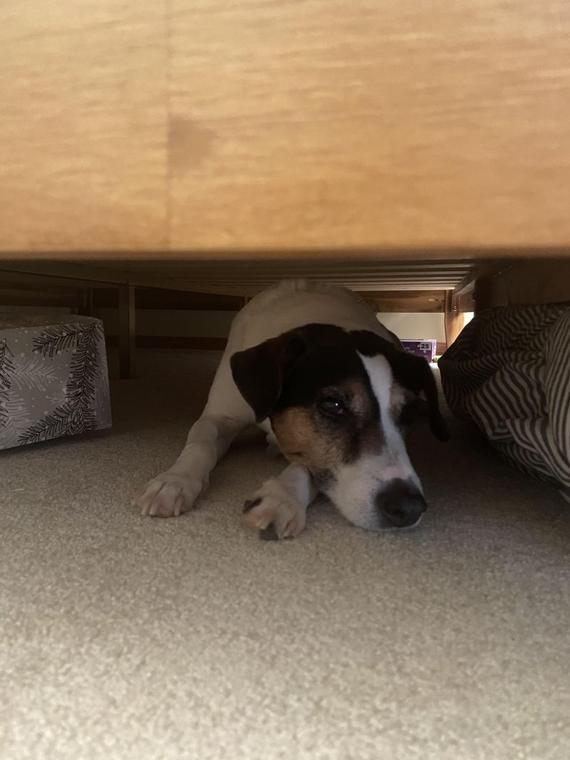 Hiding in a Safe Spot