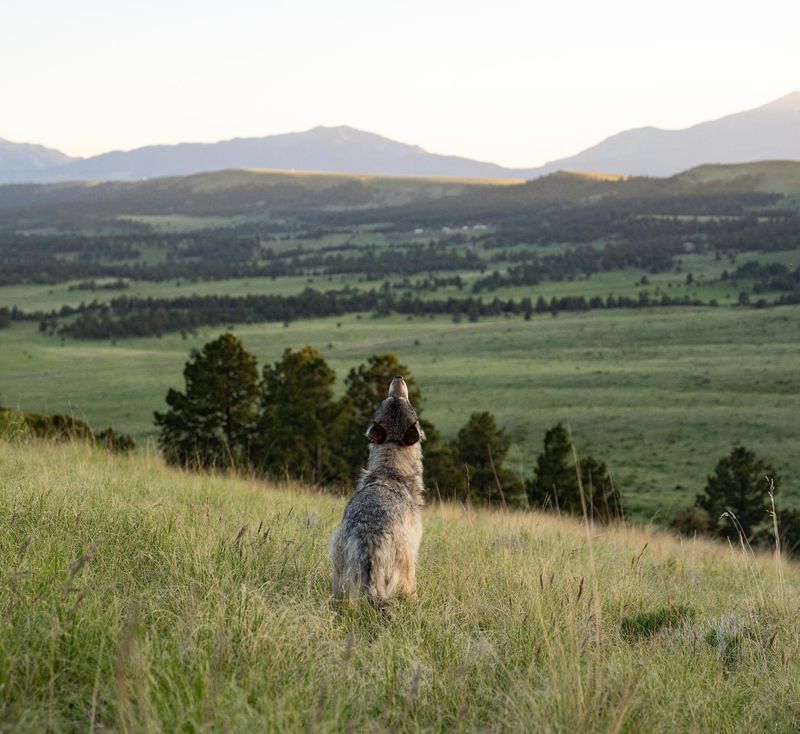 Bond with Nature