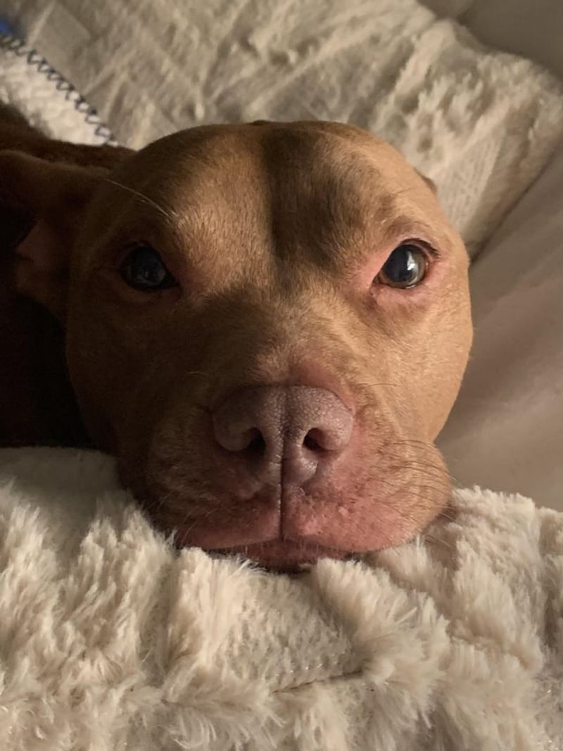 Expressive Eyes
