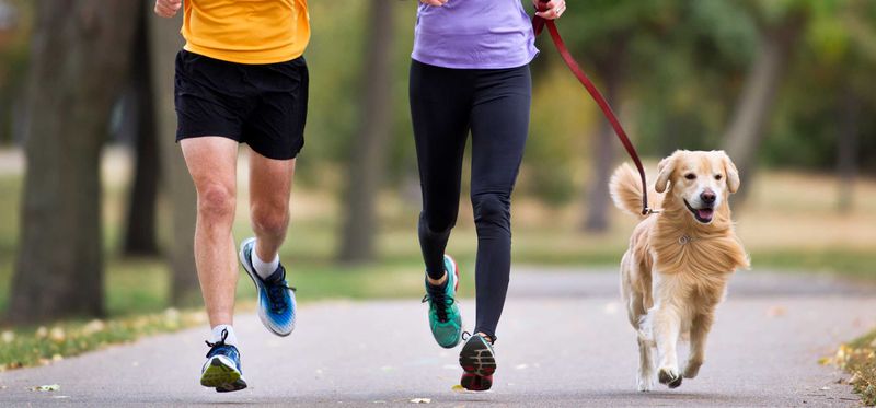Exercise Motivation