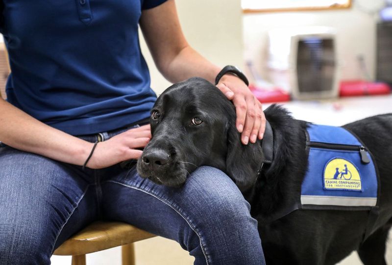 Emotional Support