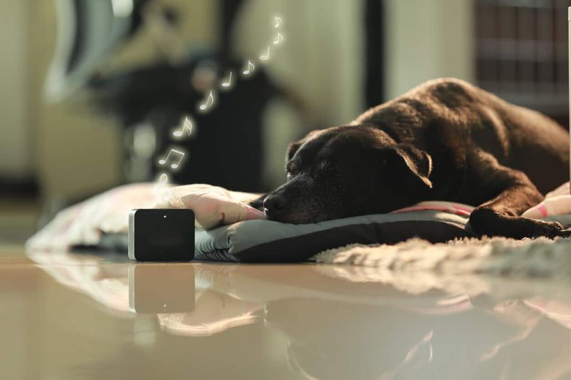 Calming Music