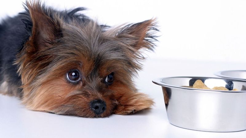 Changes in Appetite