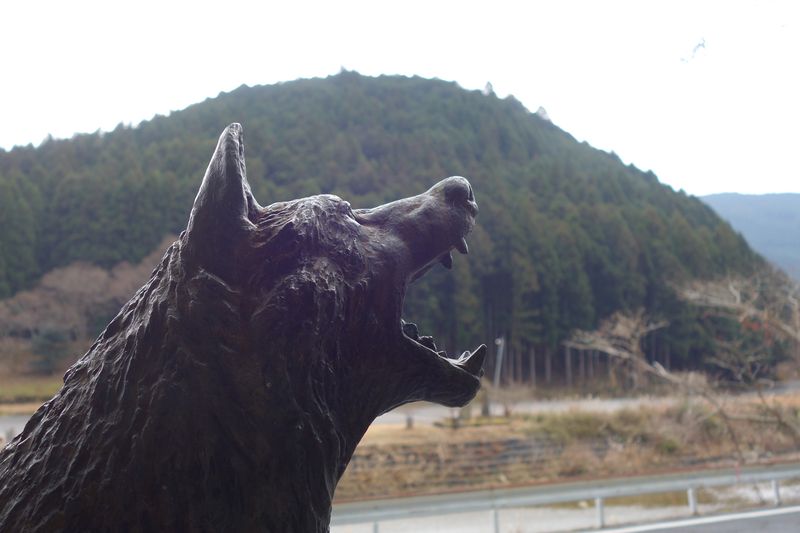 Japanese Wolf Legends