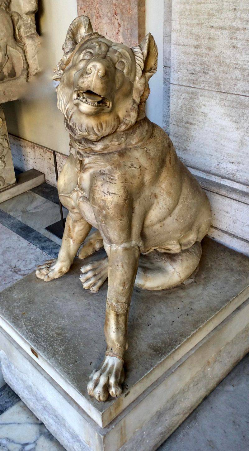 Molossus