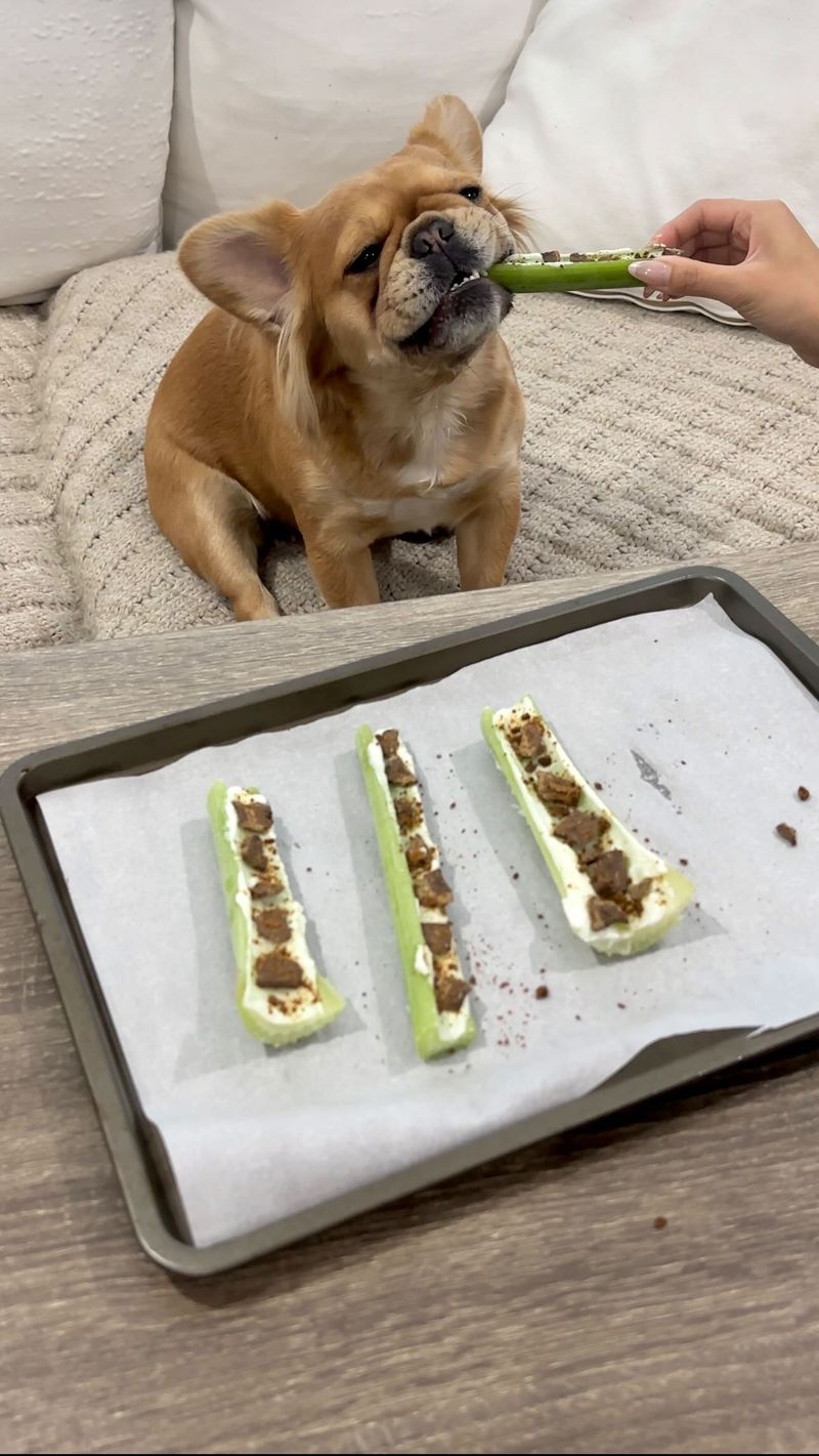 Celery Sticks