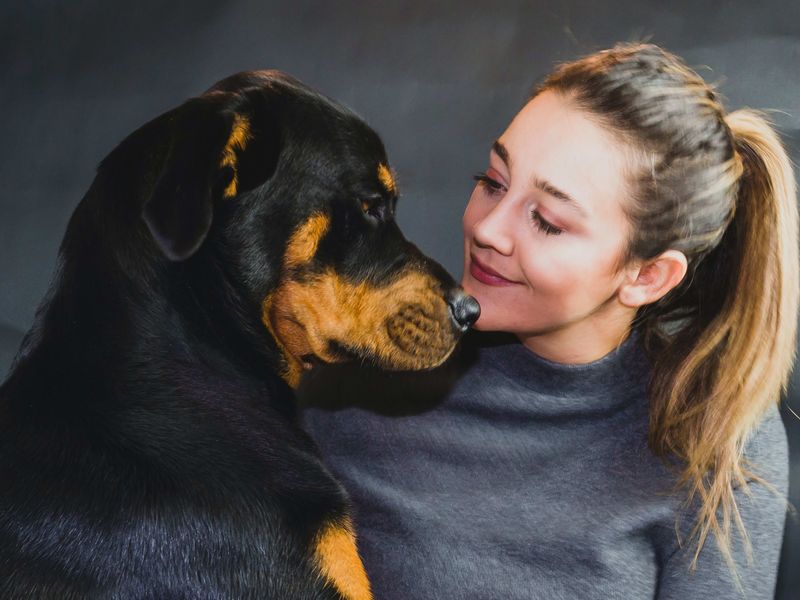 Loyal Companions