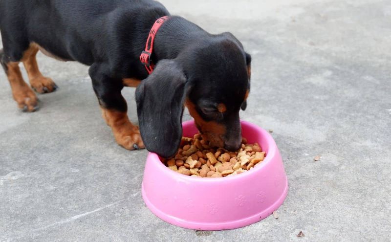 Small Size, Big Appetite