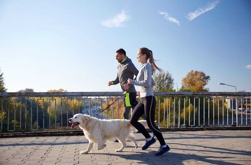 Promoting Physical Activity