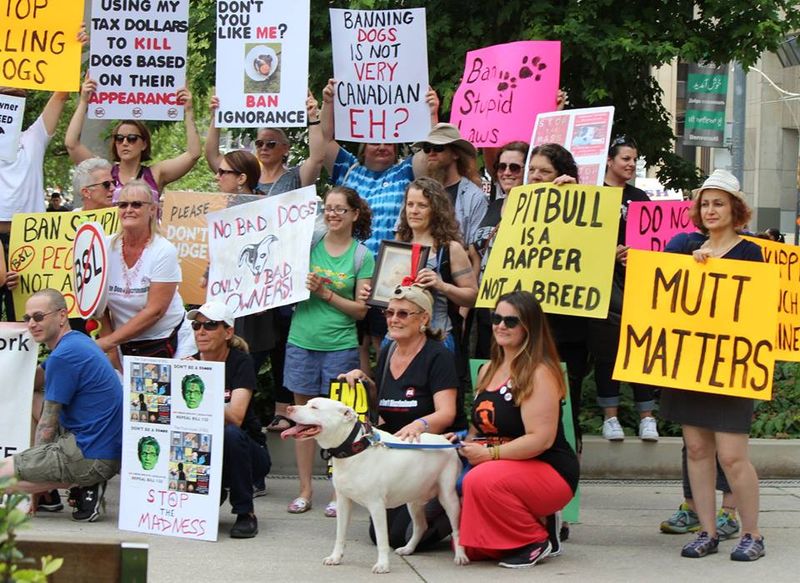 Opponents: Challenging Breed Bans