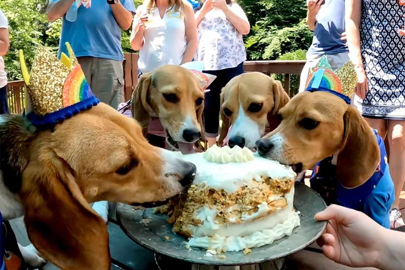 Celebrating Special Occasions