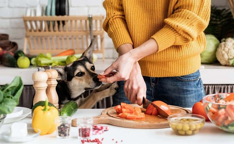 Tasting New Foods