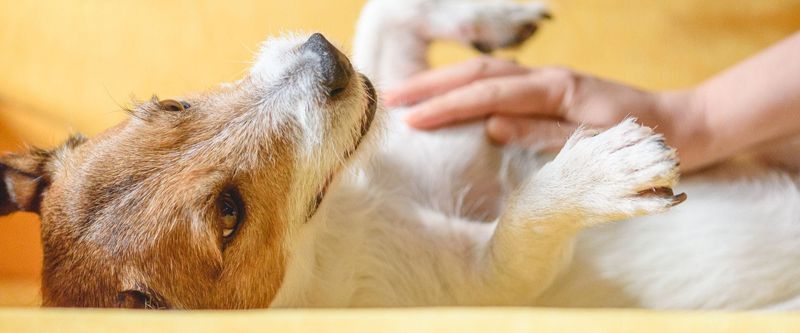 Receiving Gentle Massages