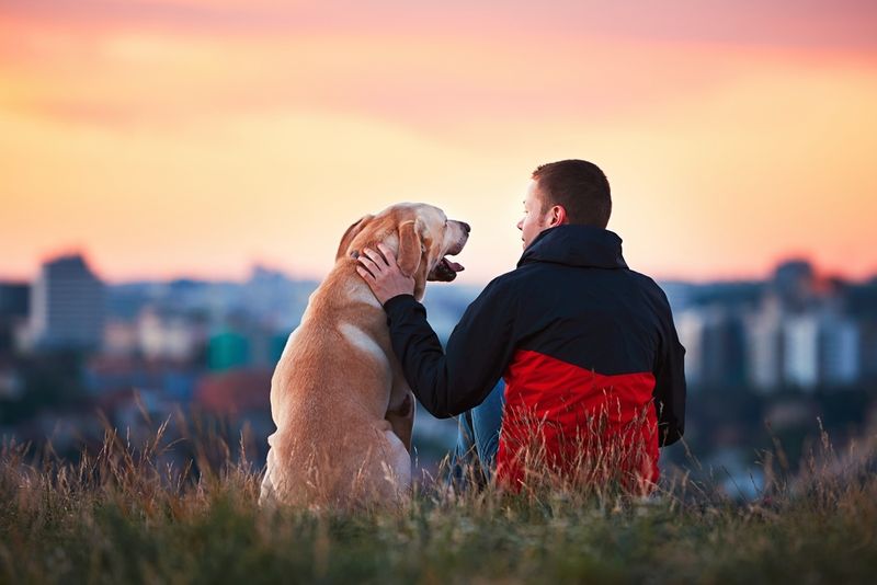 Companionship