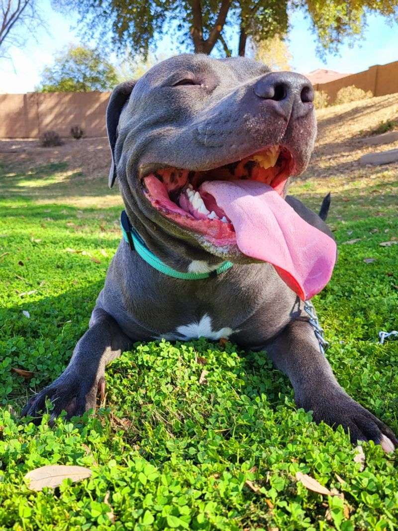 Explosive Happiness