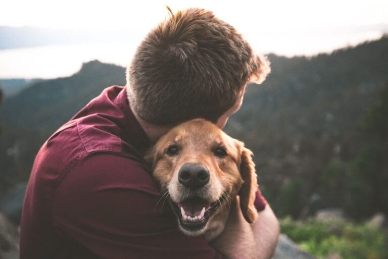 Humans Dogs Effect The 14 Positive Effects Of Dogs On Human Life - Epic dogs tales