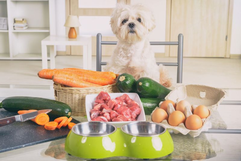 Dogs and Their Diet