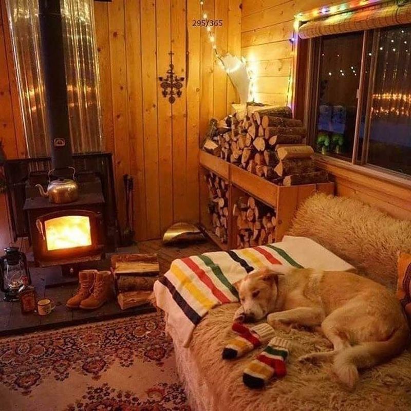 The Cozy Cabin