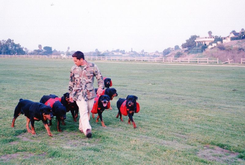 Exercise Discipline and Affection