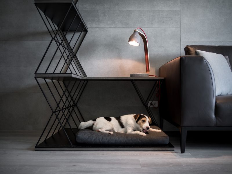 The Urban Loft