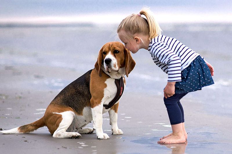 The Ever-Present Friend
