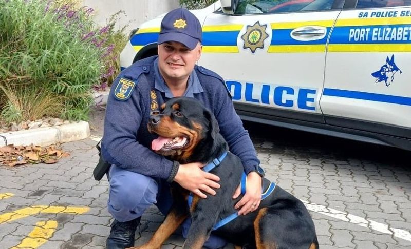 The Police Partner Rottweiler