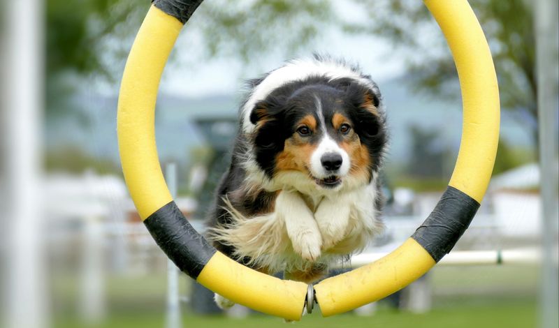 Exercise Beyond Walks