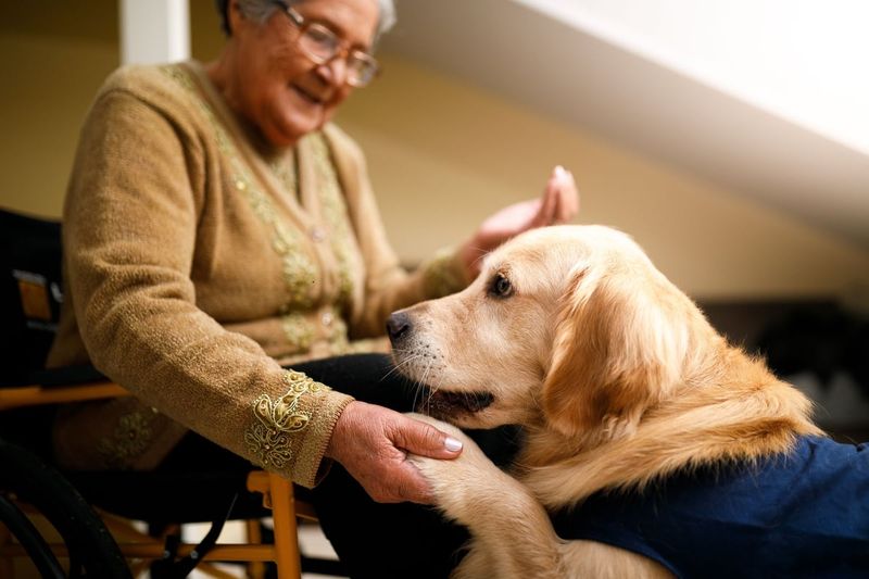 The Gentle Healer
