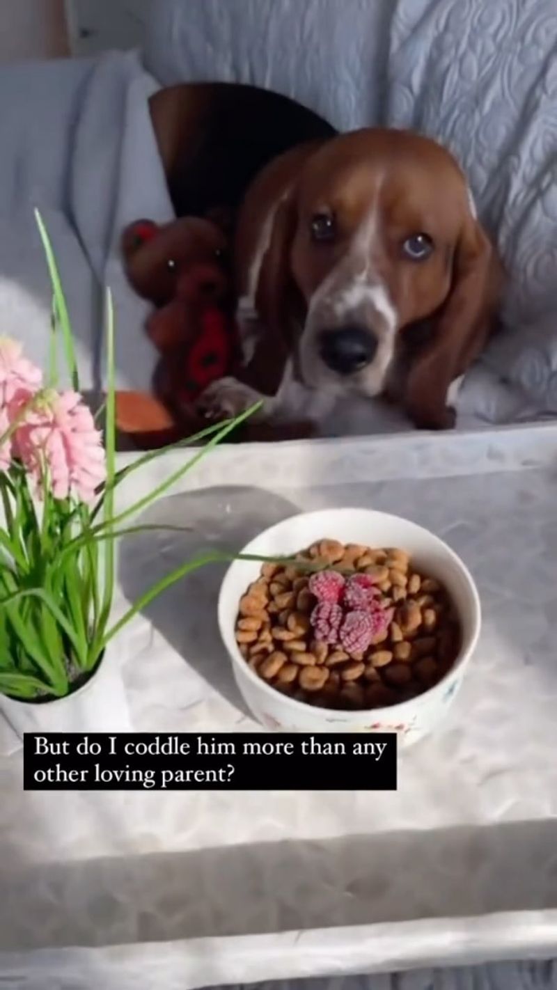 The Foodies of the Canine World