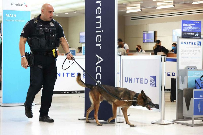 The Bomb-Sniffing Belgian Malinois