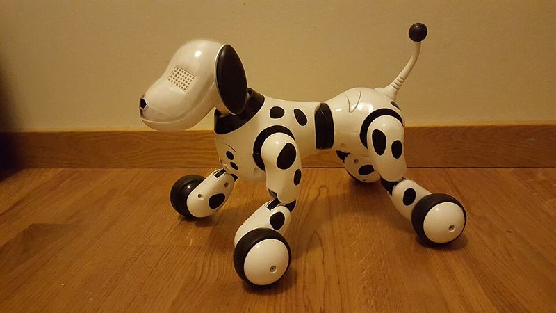 A Toy That Moves