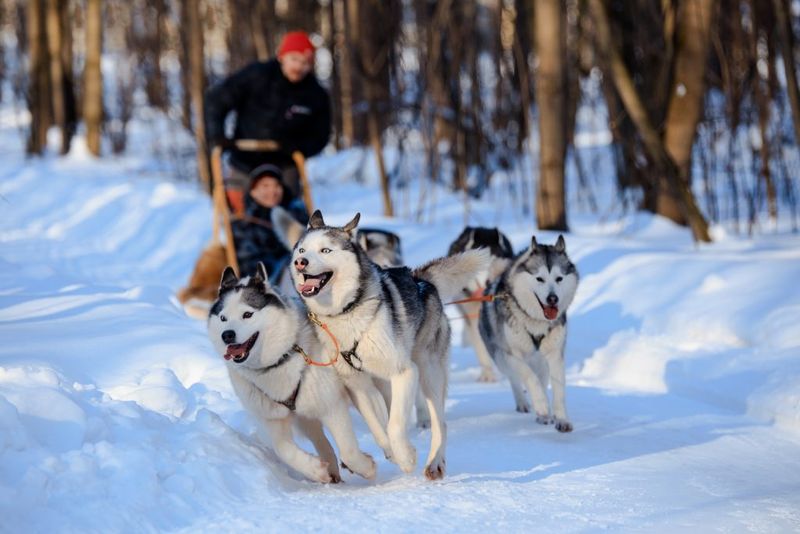 Breed-Specific Activities