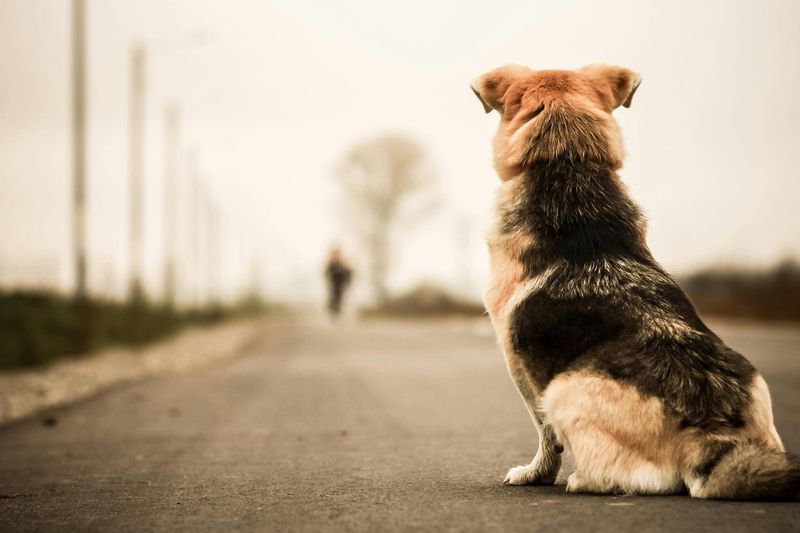 Impatience During Training