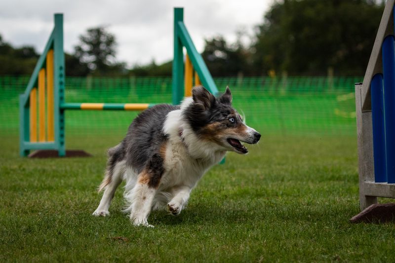 Gentle Agility