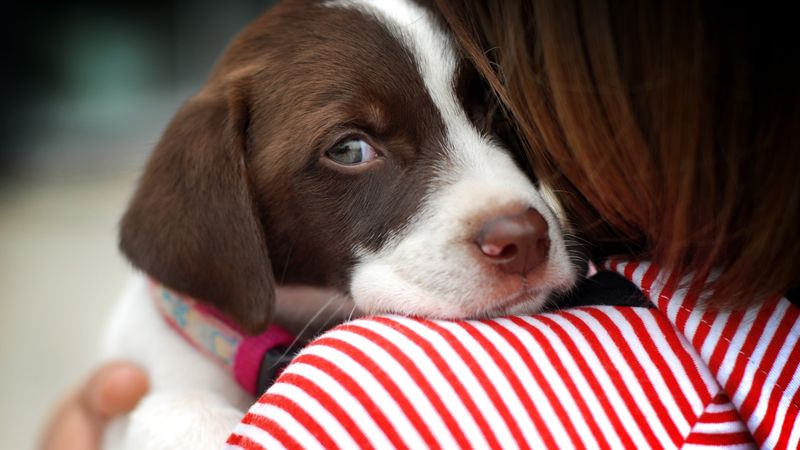 Cuddling Up Close