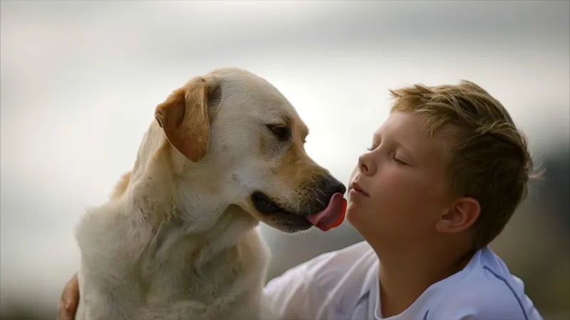 Nurturing Licking
