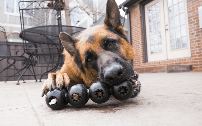 KONG Classic Dog Toy