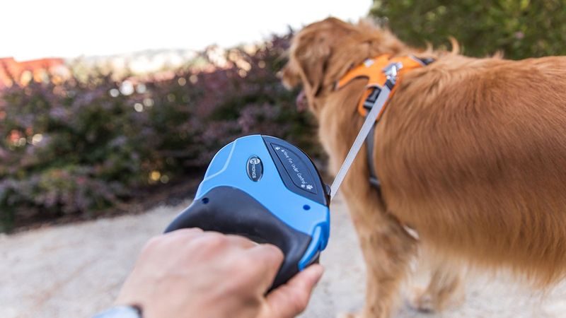 Adjustable Leash