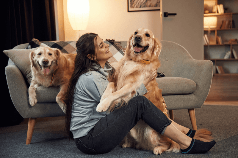 Gradual Introduction to the Home