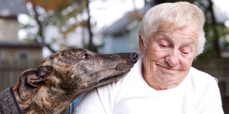 The Lifelong Commitment of Dog Ownership