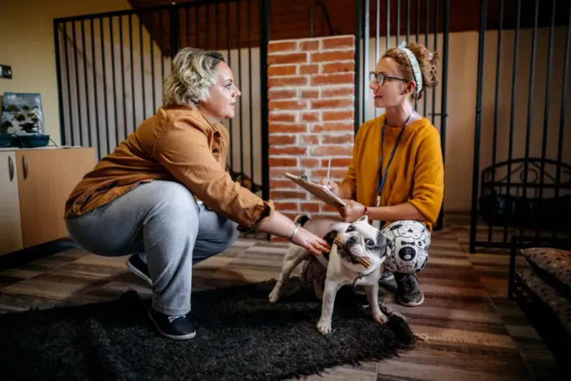 Talking to Shelter Staff
