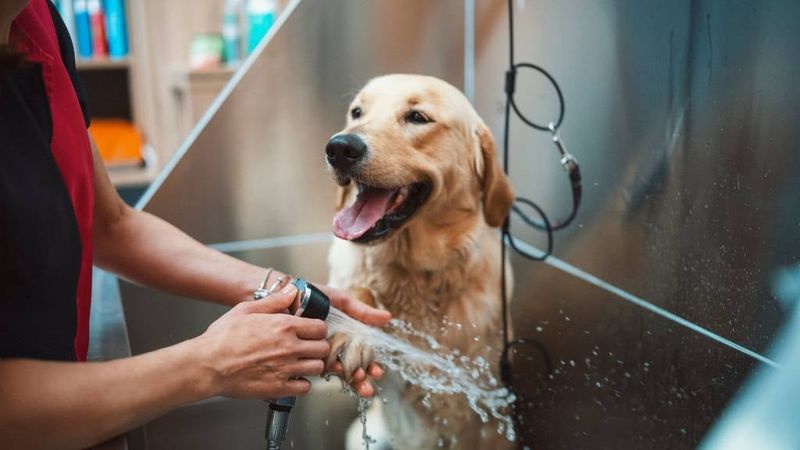 Bath Time
