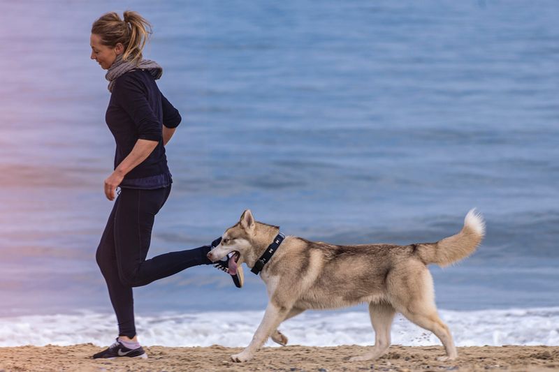 Exercise Motivation