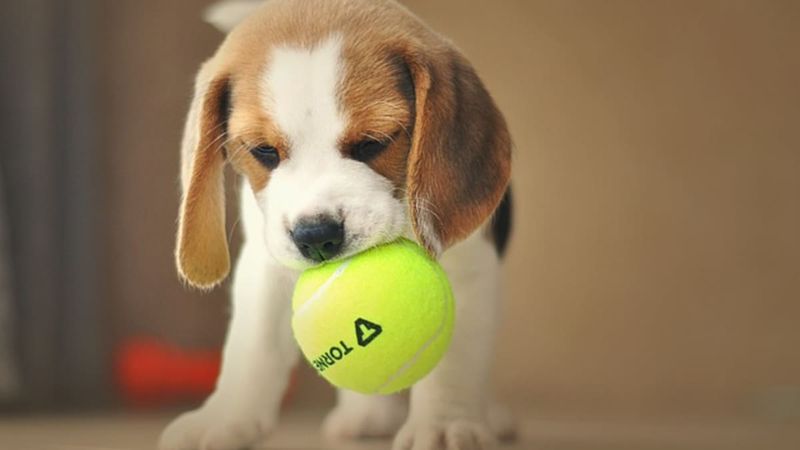 Playful Positivity
