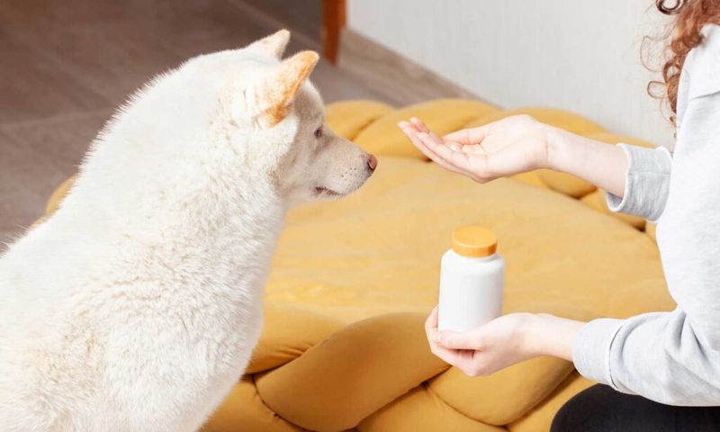Explore Medication Options